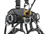 Petzl AVAO European Version